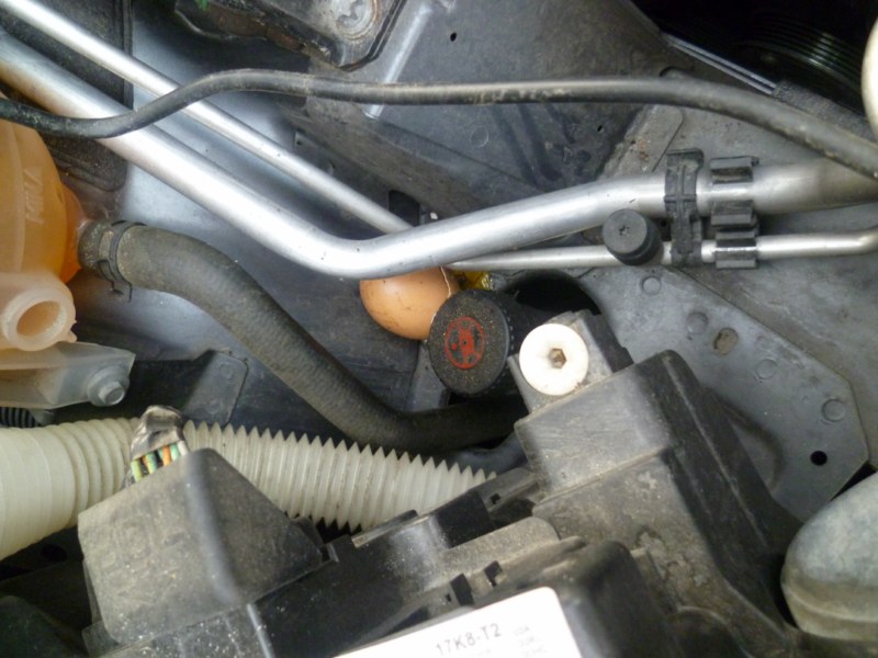 P1020681 [800x600].jpg