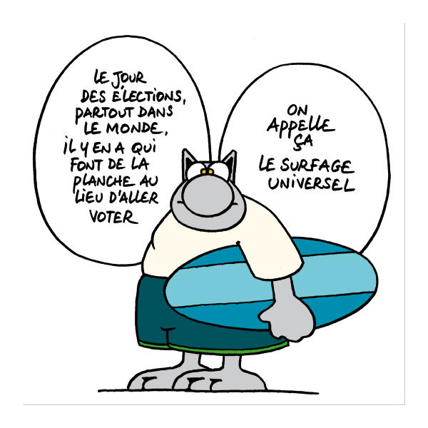 le-chat-geluck-vote-ou-abstention2.jpg