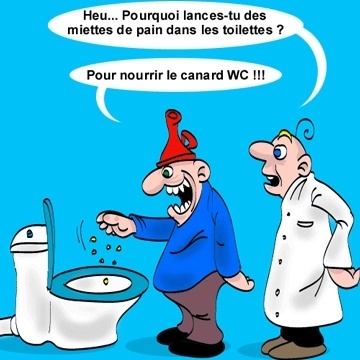 toilettes-originales-humour-canard-img-img.jpg
