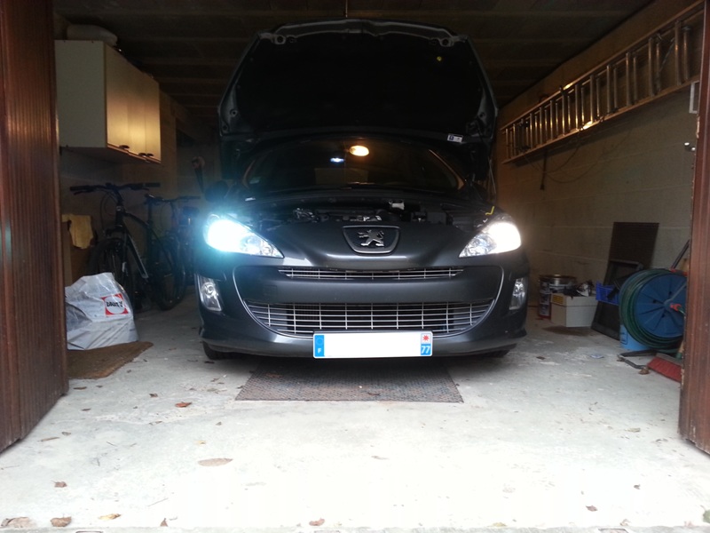 IMG_20130112_134655.jpg