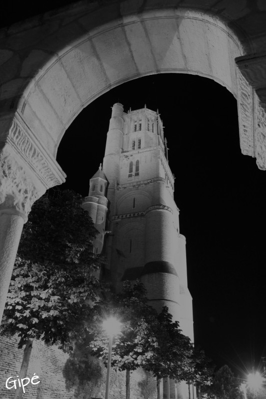 ALBI DE NUIT N&B-2.jpg