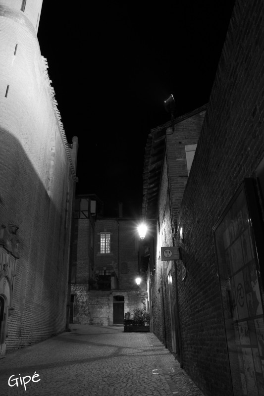 ALBI DE NUIT N&B-4.jpg