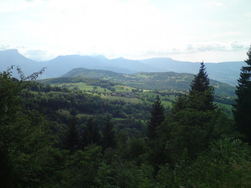 DSC00082.JPG