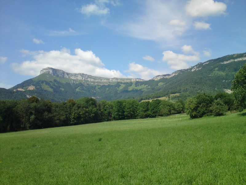 DSC00085.JPG