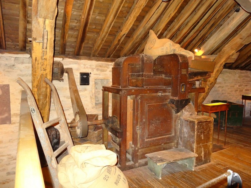 DSC01564.JPG