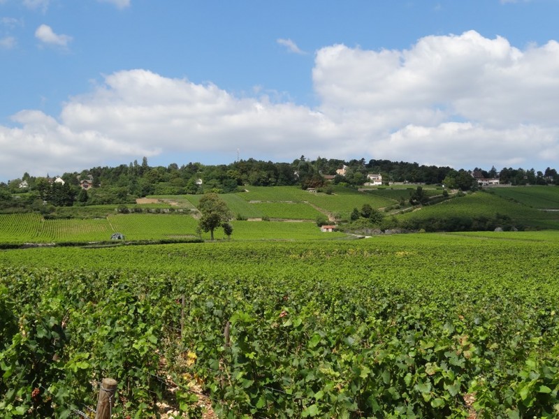 DSC01576.JPG