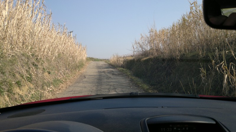 09022011334.jpg
