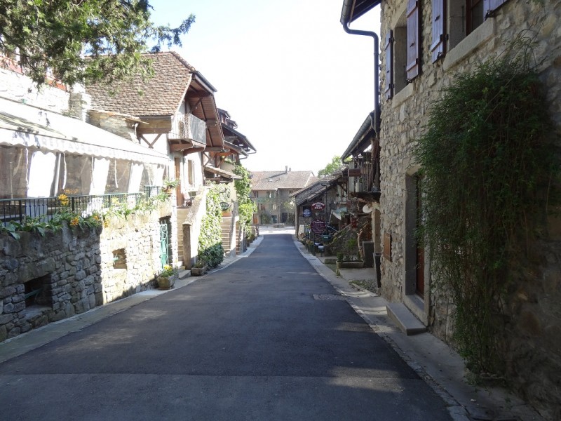 DSC02559.JPG