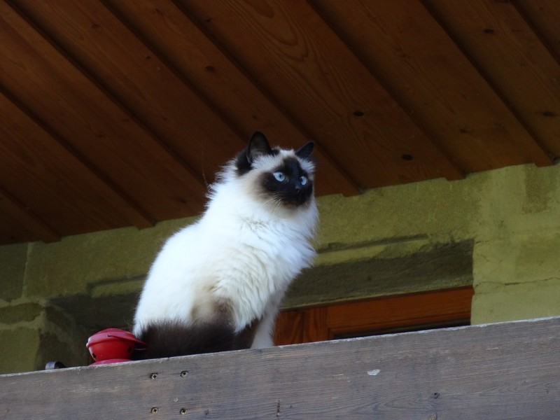 DSC02567.JPG