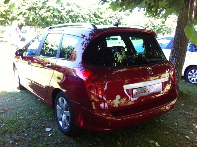 la 308SW rouge baby.jpg