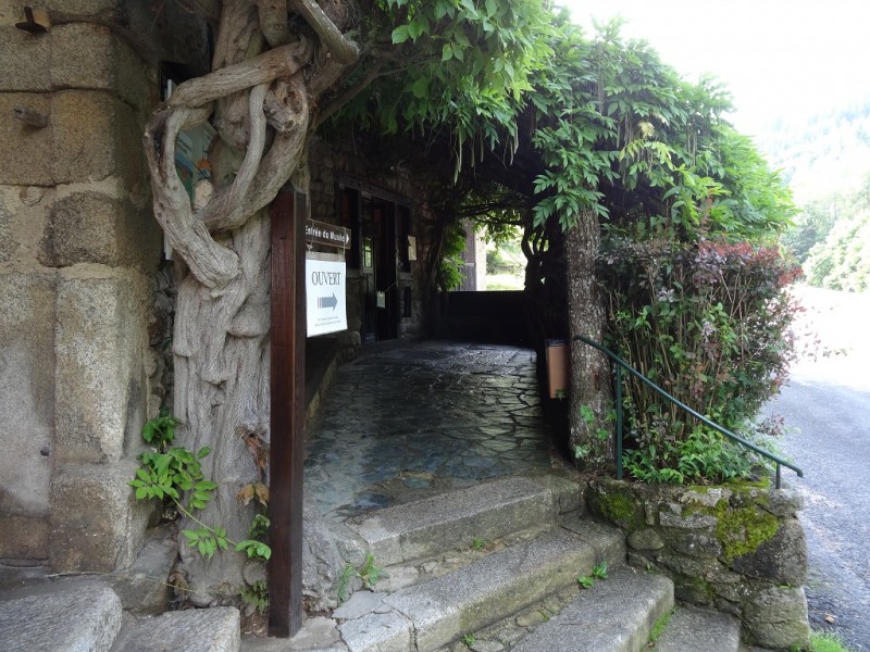 DSC02896.JPG