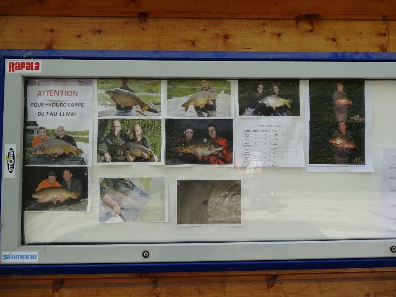 DSC02985.JPG (285.93 Kio) Vu 13988 fois DSC02985.JPG