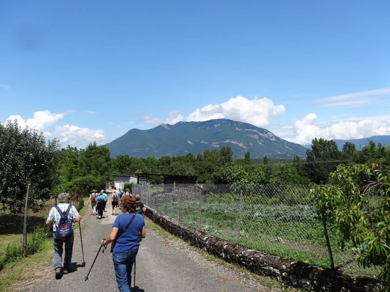 DSC03003.JPG (383.74 Kio) Vu 13988 fois DSC03003.JPG