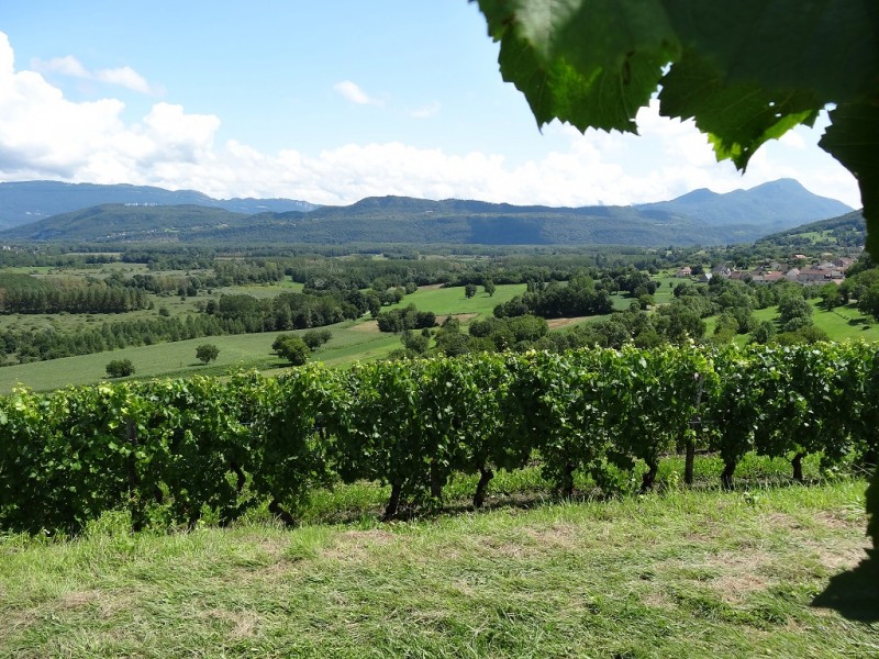 DSC03009.JPG (472.9 Kio) Vu 13988 fois DSC03009.JPG