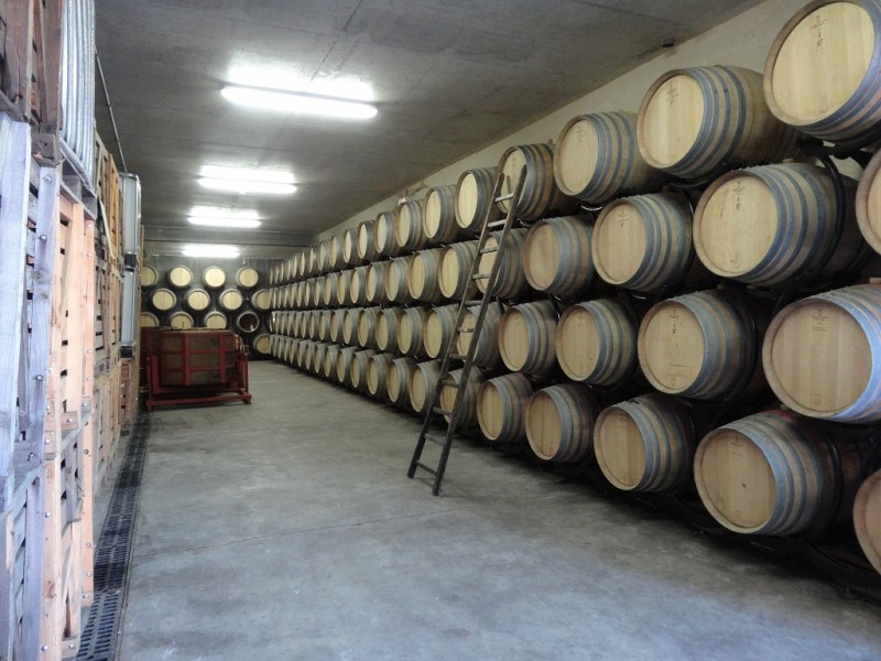 DSC03031.JPG (330.89 Kio) Vu 13988 fois DSC03031.JPG