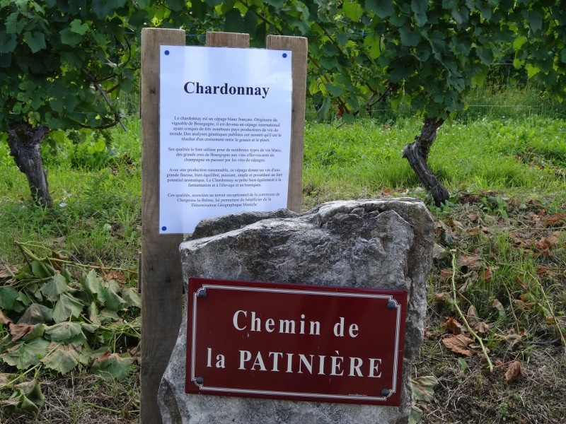 DSC03033.JPG (483.91 Kio) Vu 13988 fois DSC03033.JPG