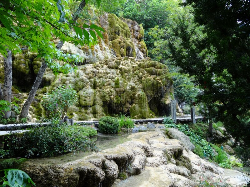 DSC03093.JPG