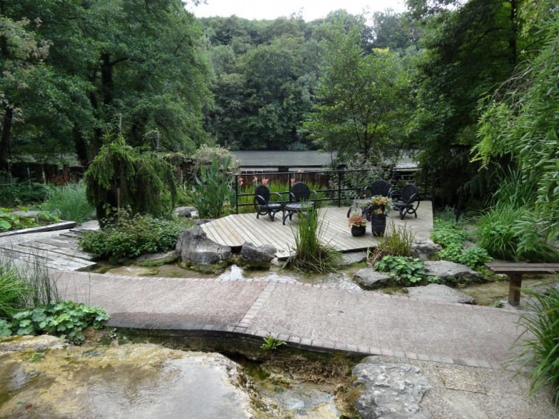 DSC03137.JPG