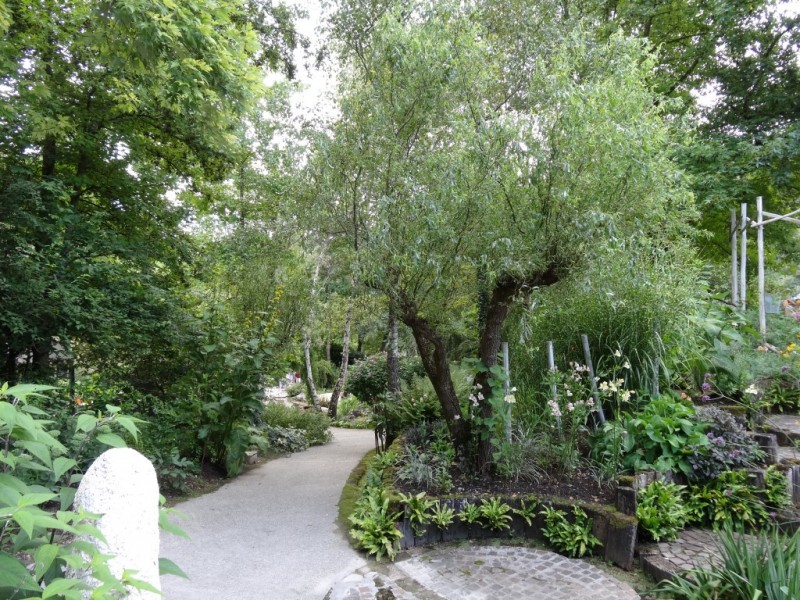 DSC03146.JPG