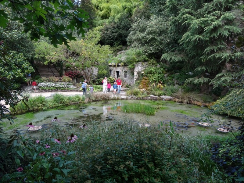 DSC03151.JPG