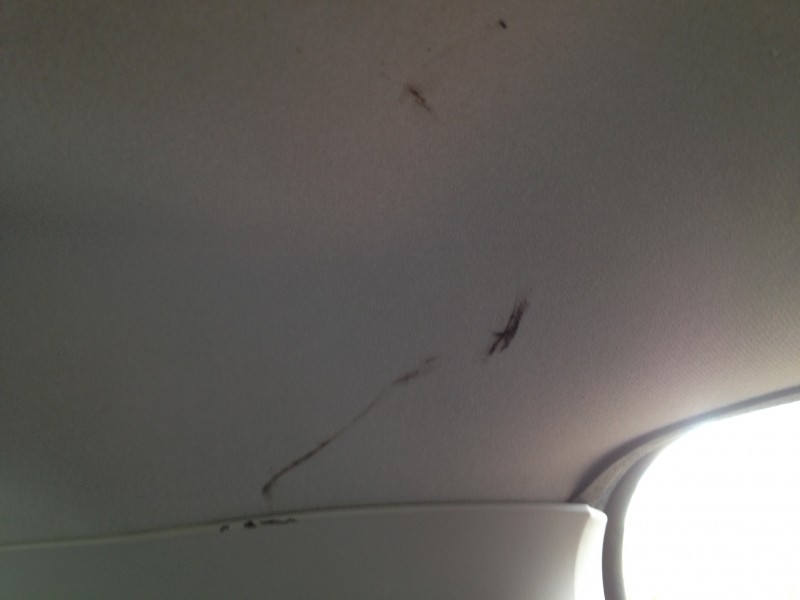 IMG_1109.JPG (814.39 Kio) Vu 9073 fois IMG_1109.JPG