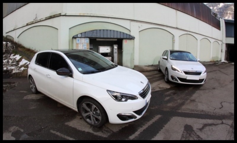 IMG_11405 [800x600].jpg