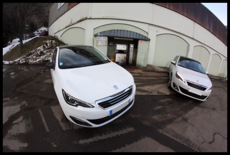 IMG_11404 [800x600].jpg