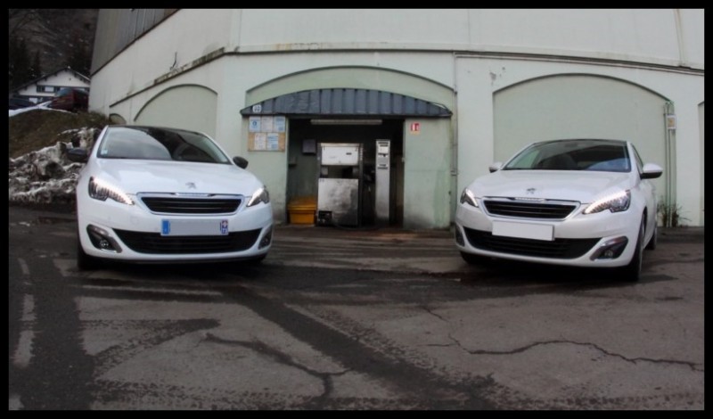 IMG_11403 [800x600].jpg