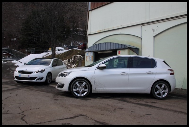 IMG_11397 [800x600].jpg