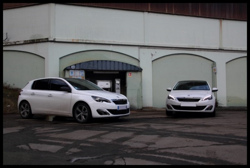 IMG_11396 [800x600].jpg