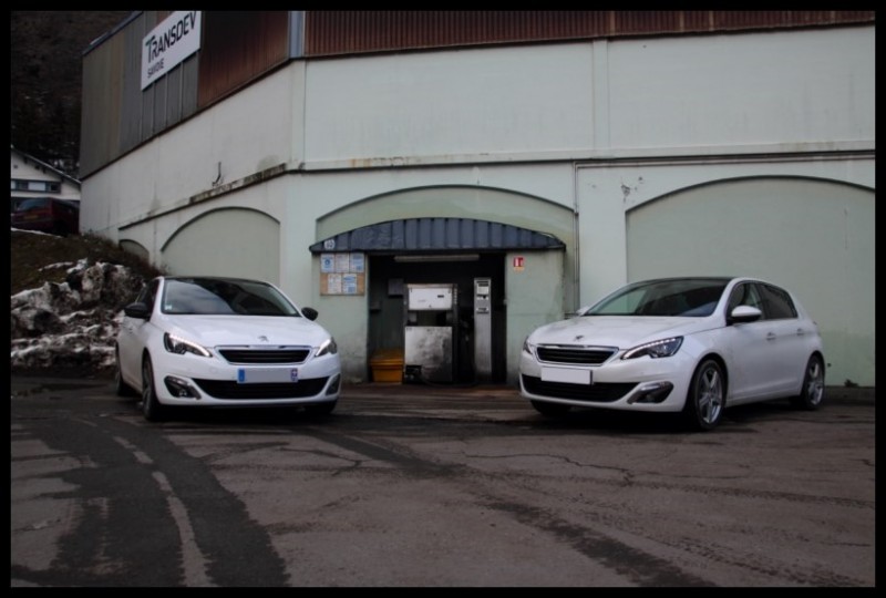 IMG_11395 [800x600].jpg