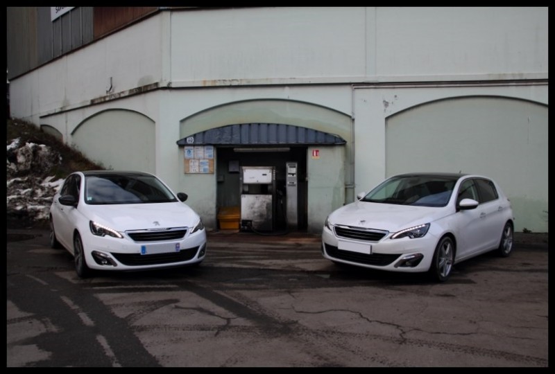 IMG_11394 [800x600].jpg