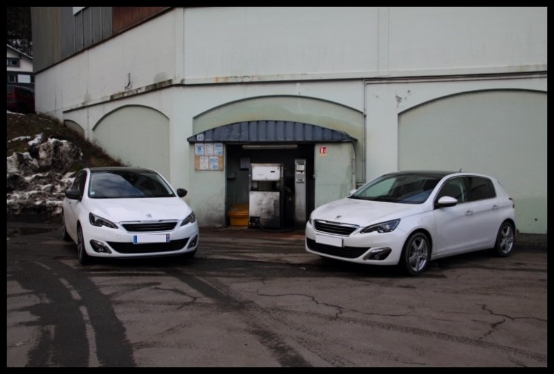 IMG_11393 [800x600].jpg