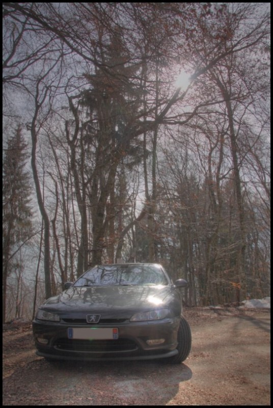 IMG_11648hdr [800x600].jpg