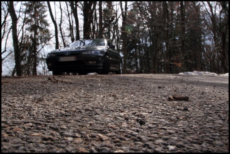 IMG_11653 [800x600].jpg