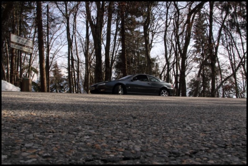 IMG_11654 [800x600].jpg