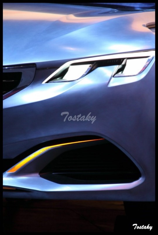 IMG_11567 [800x600].jpg