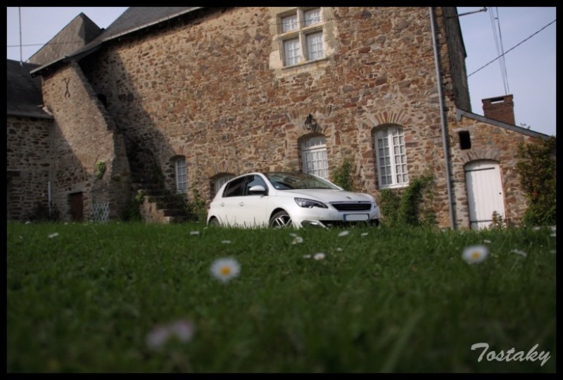 IMG_11823 [800x600].jpg