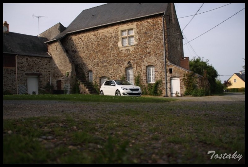 IMG_11822 [800x600].jpg