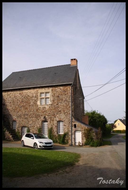 IMG_11821 [800x600].jpg