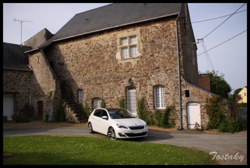 IMG_11818 [800x600].jpg