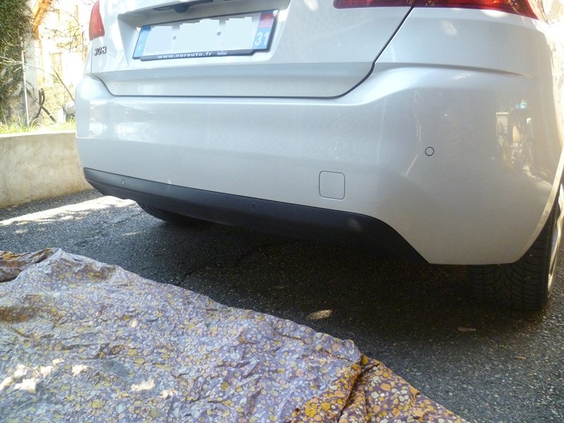 P1050351 (Copier).JPG