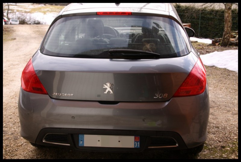 IMG_7320 [800x600].jpg