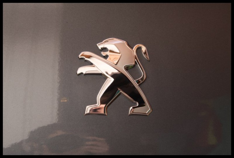 IMG_7319 [800x600].jpg