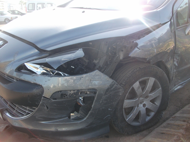 DSCF1451 (800x600).jpg