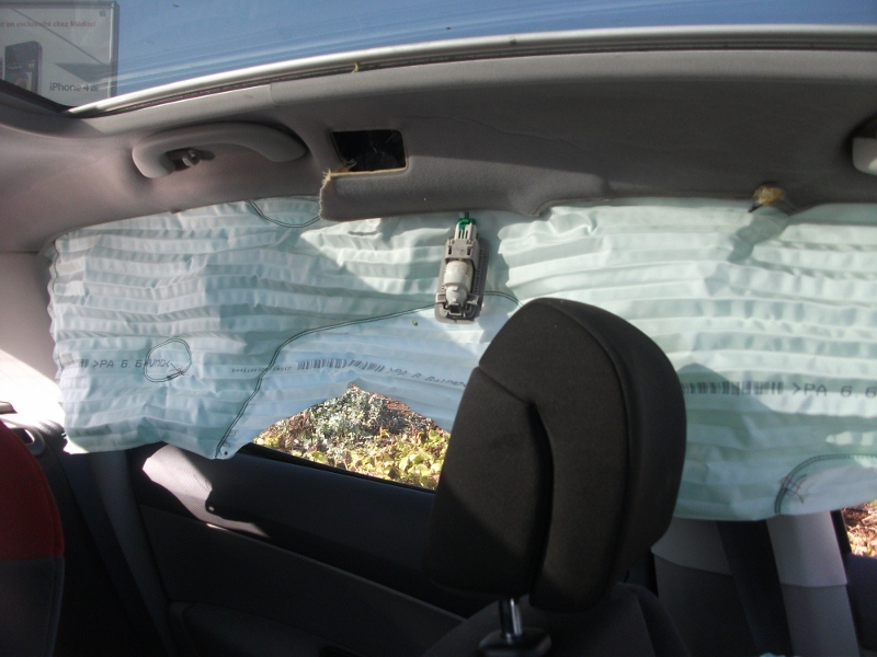 DSCF1444 (800x600).jpg