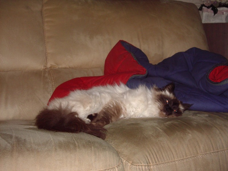IMGP1339.JPG