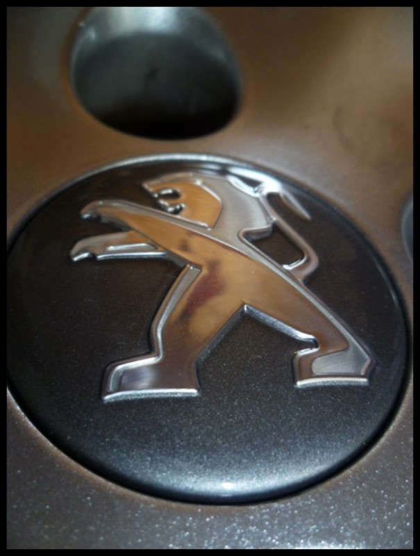 P1020346 [800x600].jpg