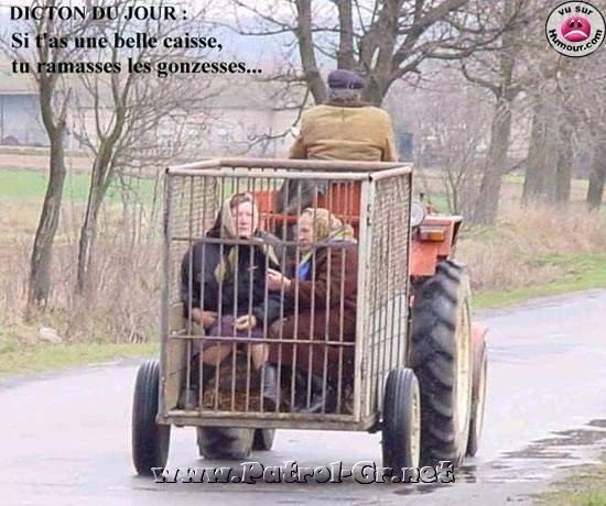 blague_113.jpg