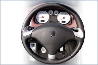 Volant branches ALU.jpg